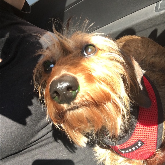 Meet your Posher, Tonya - Picture 1 of 1